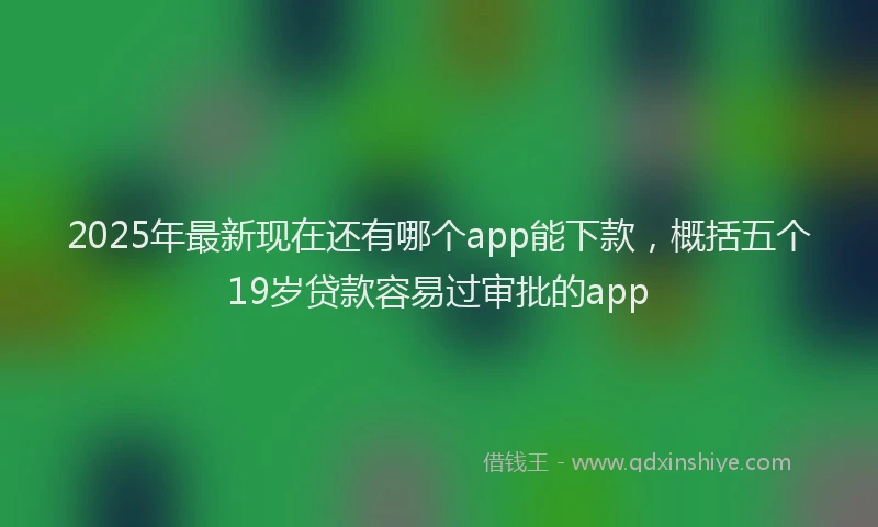 2025年最新现在还有哪个app能下款，概括五个19岁贷款容易过审批的app