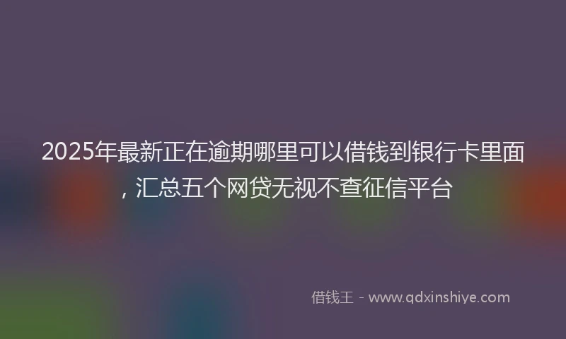 2025年最新正在逾期哪里可以借钱到银行卡里面，汇总五个网贷无视不查征信平台