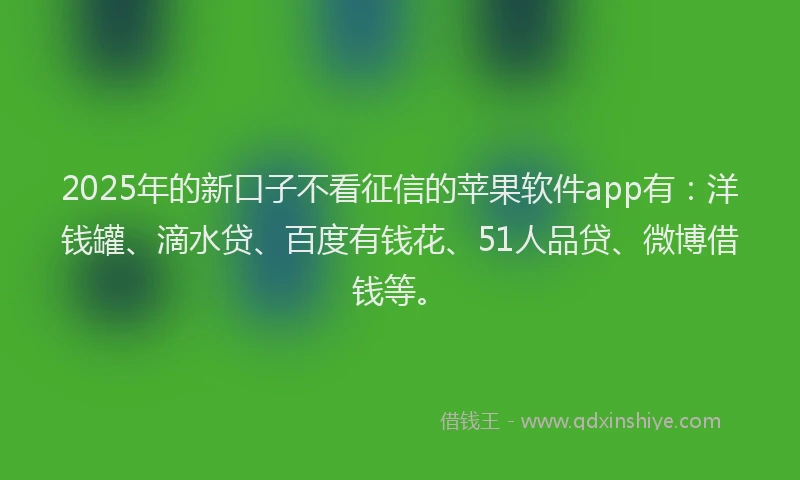 2025年的新口子不看征信的苹果软件app有：洋钱罐、滴水贷、百度有钱花、51人品贷、微博借钱等。