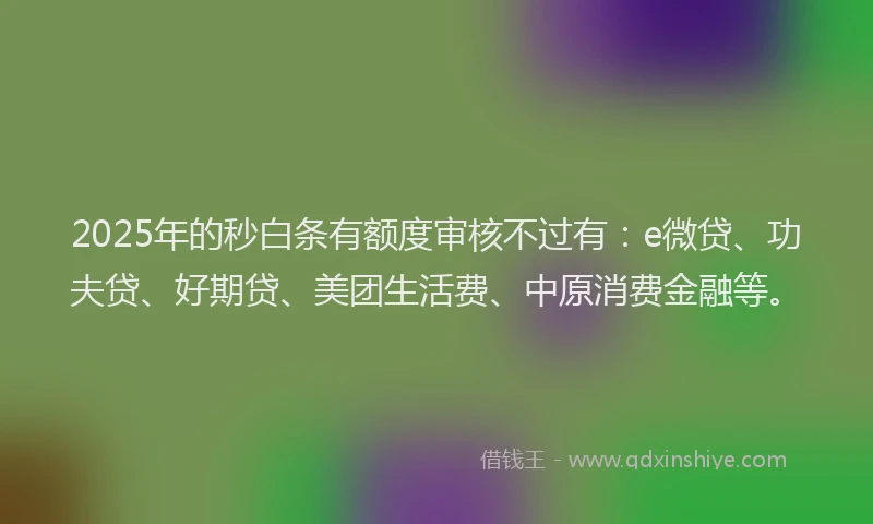 2025年的秒白条有额度审核不过有：e微贷、功夫贷、好期贷、美团生活费、中原消费金融等。
