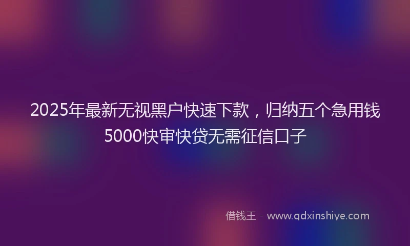 2025年最新无视黑户快速下款，归纳五个急用钱5000快审快贷无需征信口子