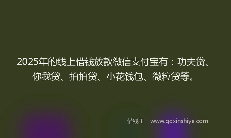 2025年的线上借钱放款微信支付宝有：功夫贷、你我贷、拍拍贷、小花钱包、微粒贷等。