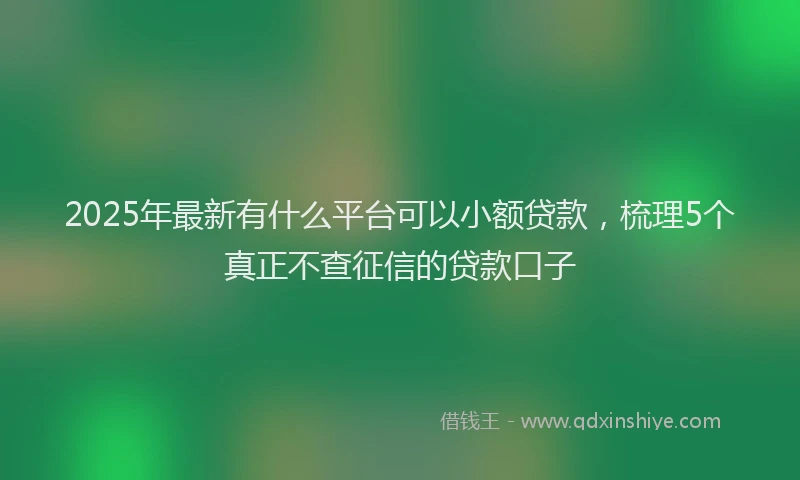 2025年最新有什么平台可以小额贷款，梳理5个真正不查征信的贷款口子