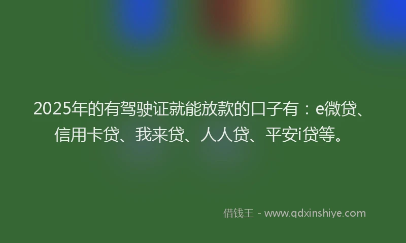 2025年的有驾驶证就能放款的口子有：e微贷、信用卡贷、我来贷、人人贷、平安i贷等。