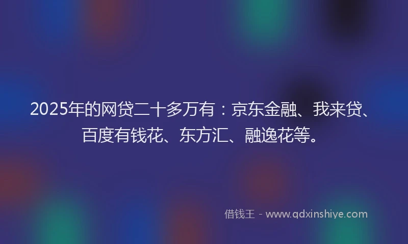 2025年的网贷二十多万有：京东金融、我来贷、百度有钱花、东方汇、融逸花等。