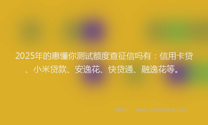 2025年的惠懂你测试额度查征信吗有：信用卡贷、小米贷款、安逸花、快贷通、融逸花等。