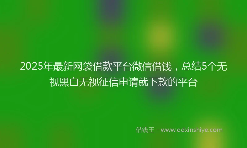 2025年最新网袋借款平台微信借钱，总结5个无视黑白无视征信申请就下款的平台