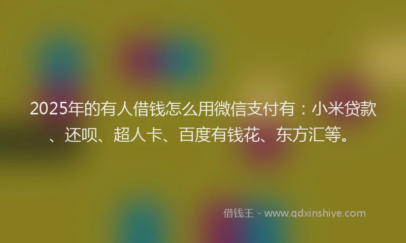 2025年的有人借钱怎么用微信支付有：小米贷款、还呗、超人卡、百度有钱花、东方汇等。