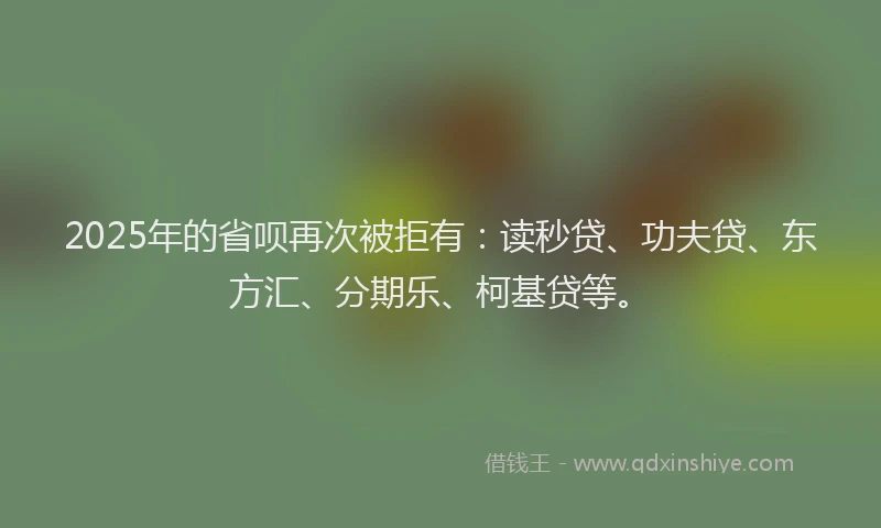 2025年的省呗再次被拒有：读秒贷、功夫贷、东方汇、分期乐、柯基贷等。