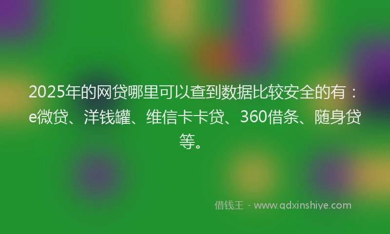 2025年的网贷哪里可以查到数据比较安全的有：e微贷、洋钱罐、维信卡卡贷、360借条、随身贷等。