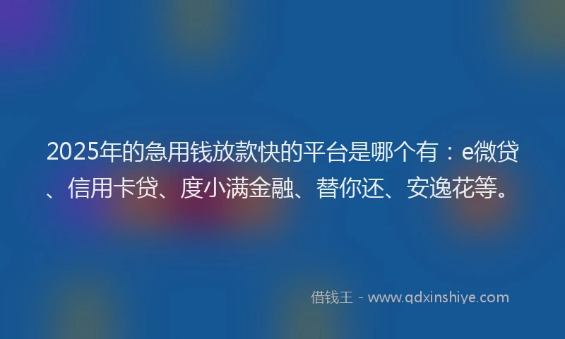 2025年的急用钱放款快的平台是哪个有：e微贷、信用卡贷、度小满金融、替你还、安逸花等。