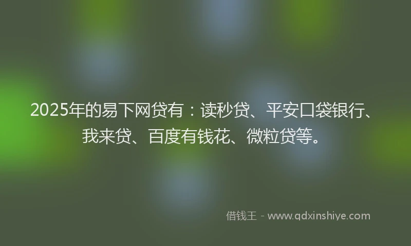 2025年的易下网贷有：读秒贷、平安口袋银行、我来贷、百度有钱花、微粒贷等。