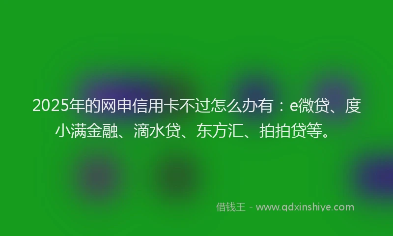 2025年的网申信用卡不过怎么办有：e微贷、度小满金融、滴水贷、东方汇、拍拍贷等。