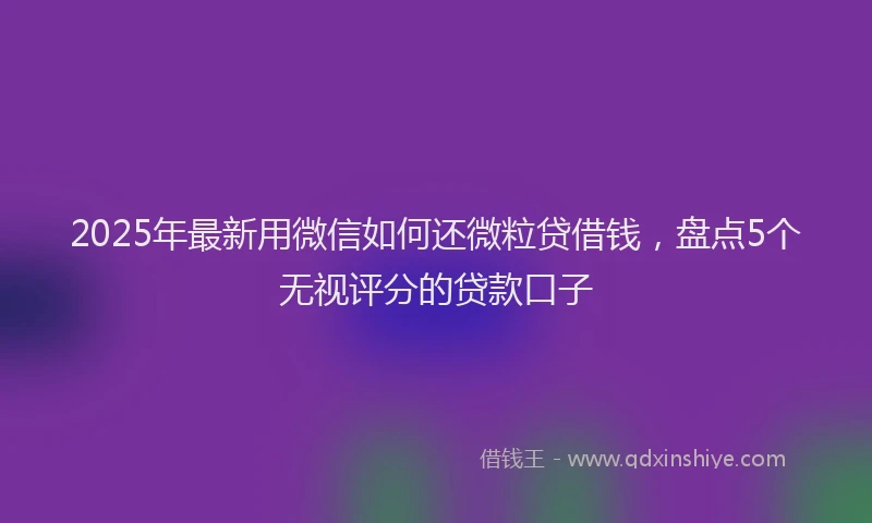 2025年最新用微信如何还微粒贷借钱，盘点5个无视评分的贷款口子