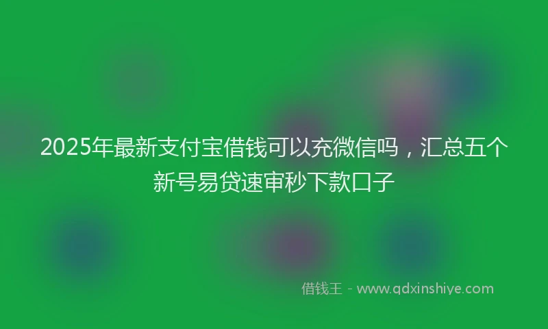 2025年最新支付宝借钱可以充微信吗，汇总五个新号易贷速审秒下款口子