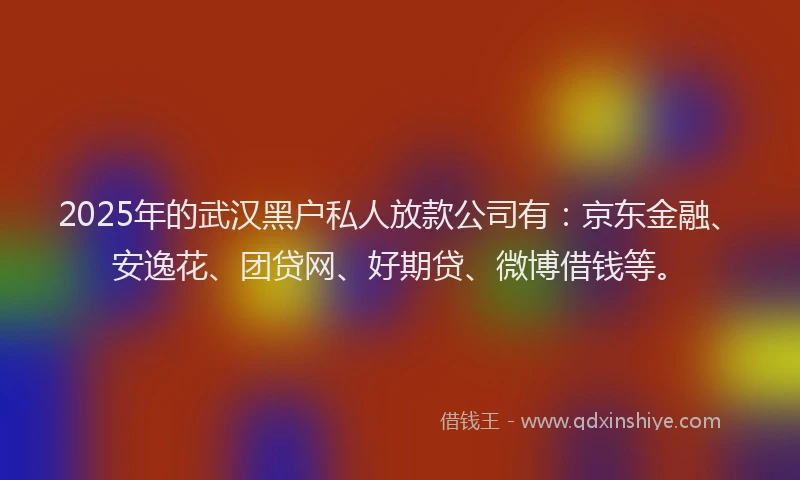 2025年的武汉黑户私人放款公司有：京东金融、安逸花、团贷网、好期贷、微博借钱等。