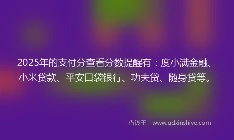 2025年的支付分查看分数提醒有：度小满金融、小米贷款、平安口袋银行、功夫贷、随身贷等。