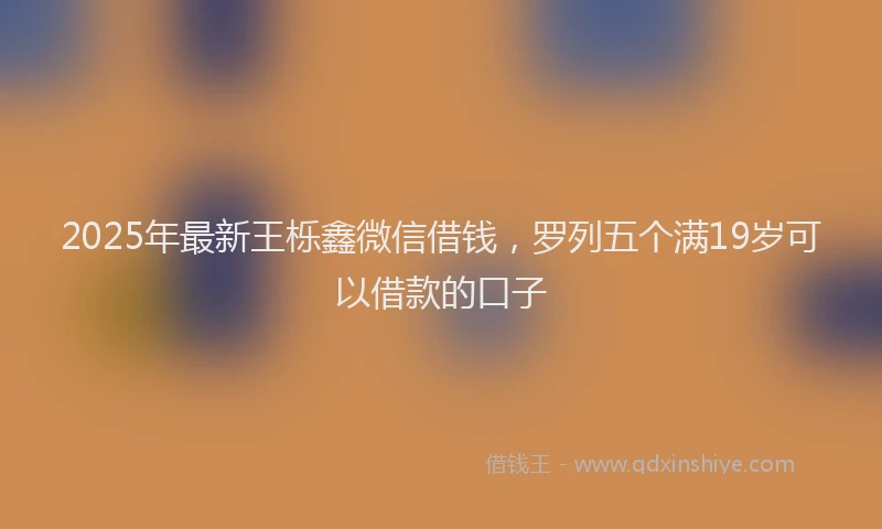 2025年最新王栎鑫微信借钱，罗列五个满19岁可以借款的口子