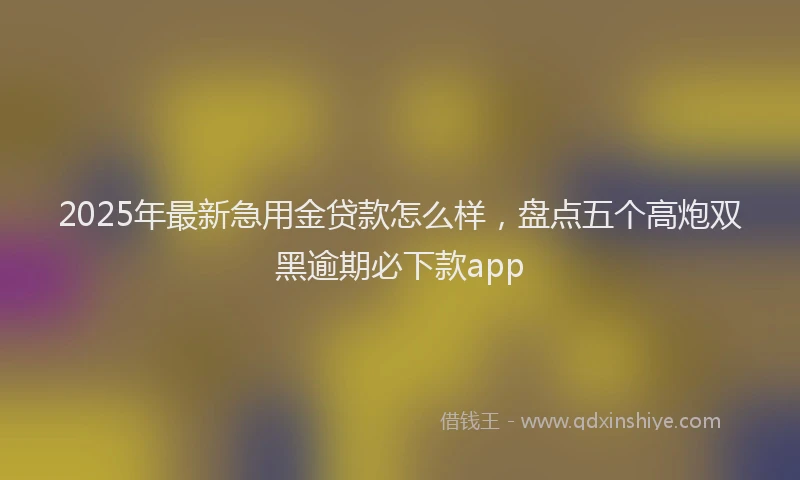 2025年最新急用金贷款怎么样，盘点五个高炮双黑逾期必下款app