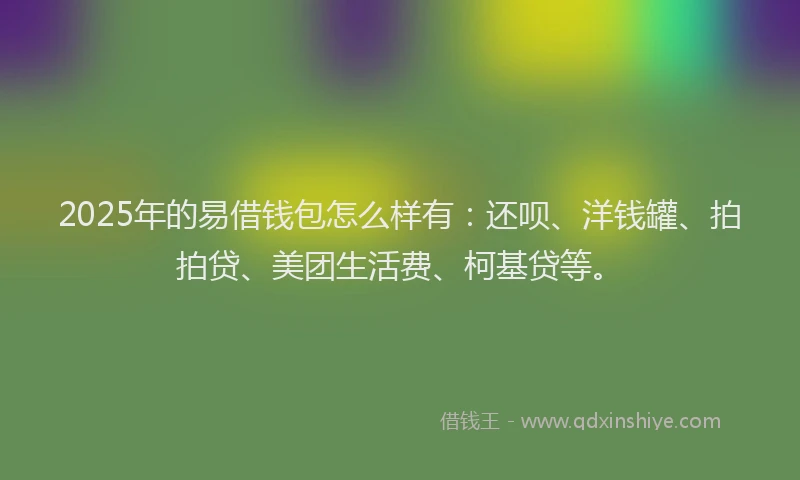 2025年的易借钱包怎么样有：还呗、洋钱罐、拍拍贷、美团生活费、柯基贷等。