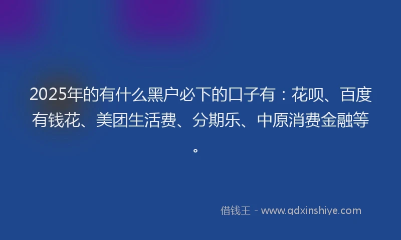 2025年的有什么黑户必下的口子有：花呗、百度有钱花、美团生活费、分期乐、中原消费金融等。