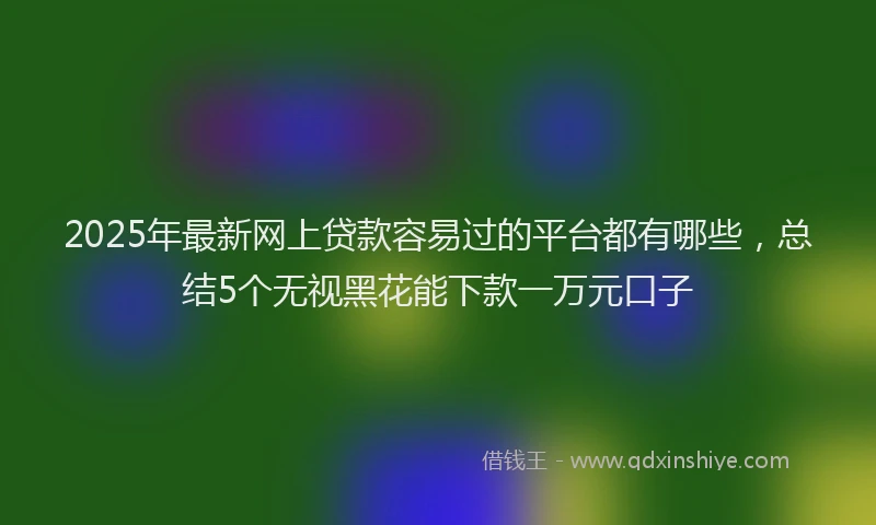 2025年最新网上贷款容易过的平台都有哪些，总结5个无视黑花能下款一万元口子