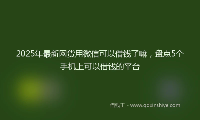 2025年最新网货用微信可以借钱了嘛，盘点5个手机上可以借钱的平台