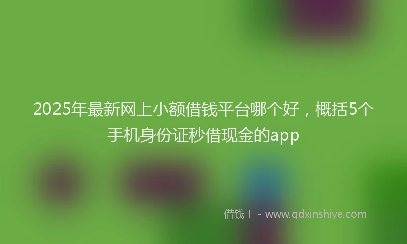 2025年最新网上小额借钱平台哪个好，概括5个手机身份证秒借现金的app