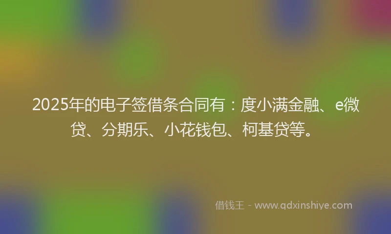 2025年的电子签借条合同有：度小满金融、e微贷、分期乐、小花钱包、柯基贷等。