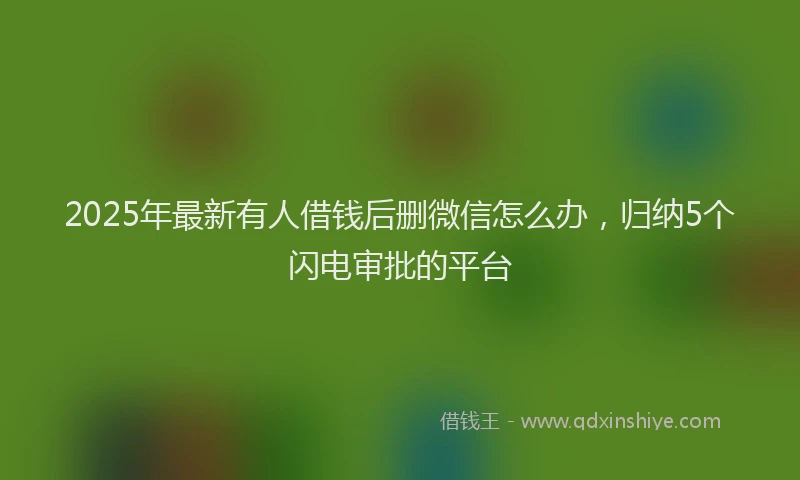 2025年最新有人借钱后删微信怎么办，归纳5个闪电审批的平台