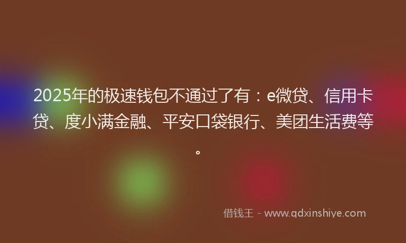 2025年的极速钱包不通过了有：e微贷、信用卡贷、度小满金融、平安口袋银行、美团生活费等。