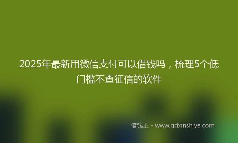2025年最新用微信支付可以借钱吗，梳理5个低门槛不查征信的软件