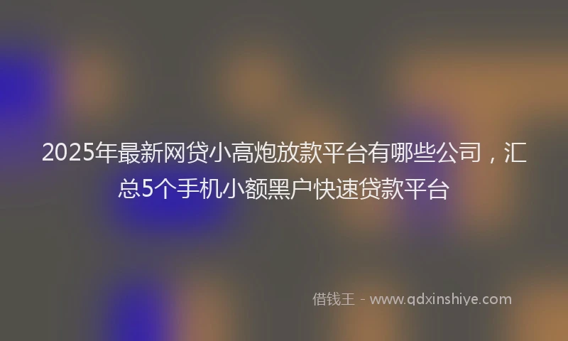 2025年最新网贷小高炮放款平台有哪些公司，汇总5个手机小额黑户快速贷款平台