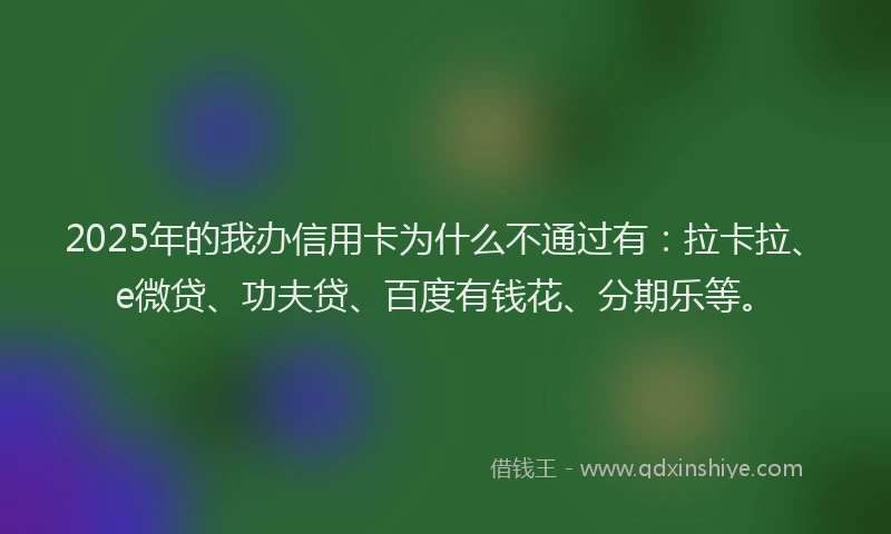 2025年的我办信用卡为什么不通过有：拉卡拉、e微贷、功夫贷、百度有钱花、分期乐等。