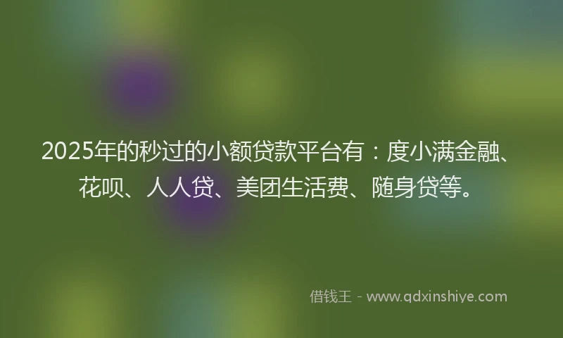 2025年的秒过的小额贷款平台有：度小满金融、花呗、人人贷、美团生活费、随身贷等。