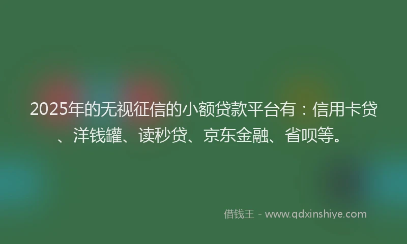 2025年的无视征信的小额贷款平台有：信用卡贷、洋钱罐、读秒贷、京东金融、省呗等。