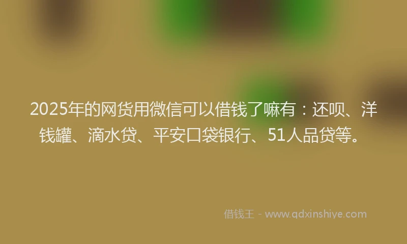 2025年的网货用微信可以借钱了嘛有：还呗、洋钱罐、滴水贷、平安口袋银行、51人品贷等。