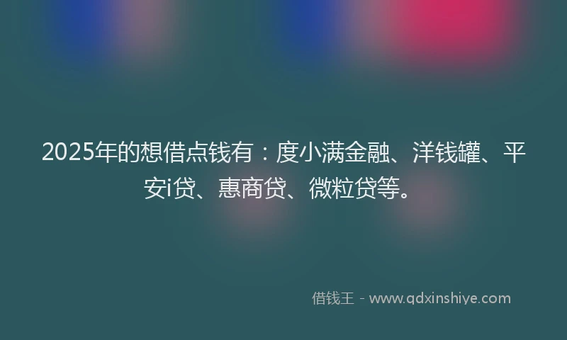2025年的想借点钱有：度小满金融、洋钱罐、平安i贷、惠商贷、微粒贷等。