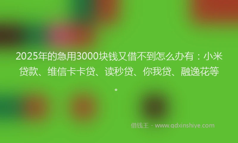 2025年的急用3000块钱又借不到怎么办有：小米贷款、维信卡卡贷、读秒贷、你我贷、融逸花等。