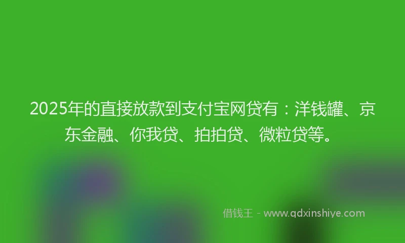 2025年的直接放款到支付宝网贷有：洋钱罐、京东金融、你我贷、拍拍贷、微粒贷等。