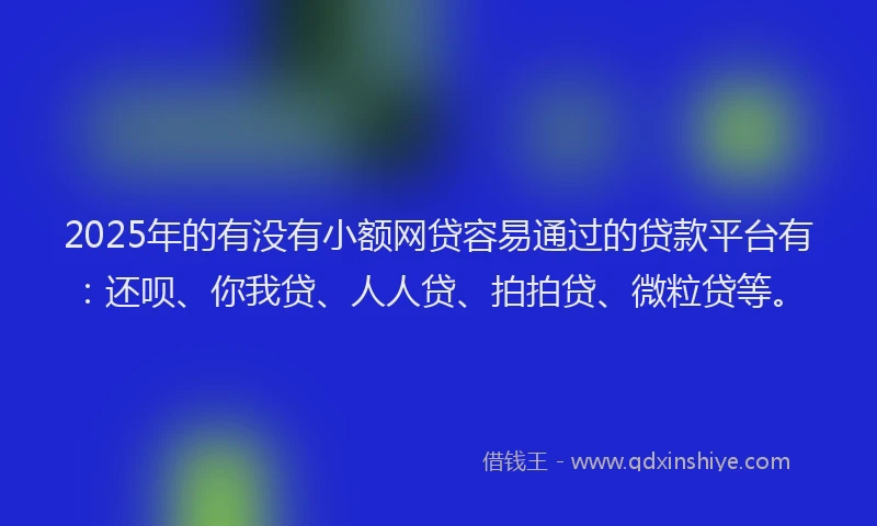 2025年的有没有小额网贷容易通过的贷款平台有：还呗、你我贷、人人贷、拍拍贷、微粒贷等。