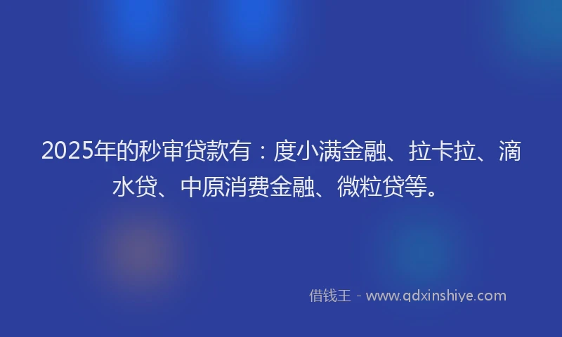 2025年的秒审贷款有：度小满金融、拉卡拉、滴水贷、中原消费金融、微粒贷等。