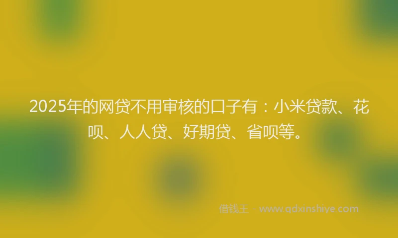 2025年的网贷不用审核的口子有：小米贷款、花呗、人人贷、好期贷、省呗等。