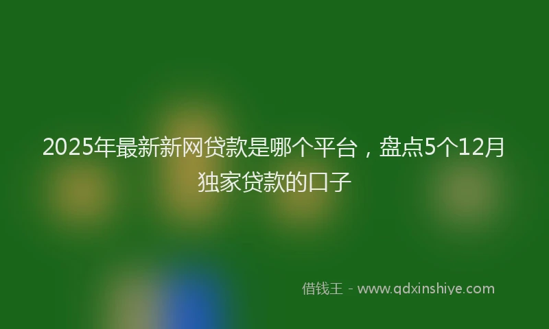 2025年最新新网贷款是哪个平台，盘点5个12月独家贷款的口子