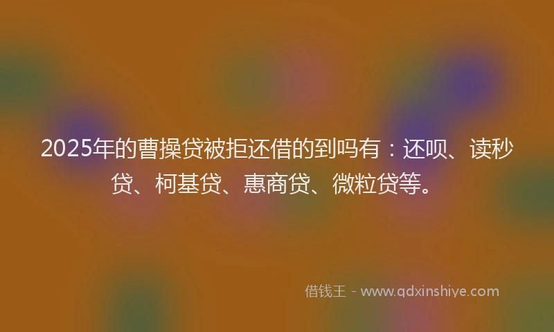 2025年的曹操贷被拒还借的到吗有：还呗、读秒贷、柯基贷、惠商贷、微粒贷等。