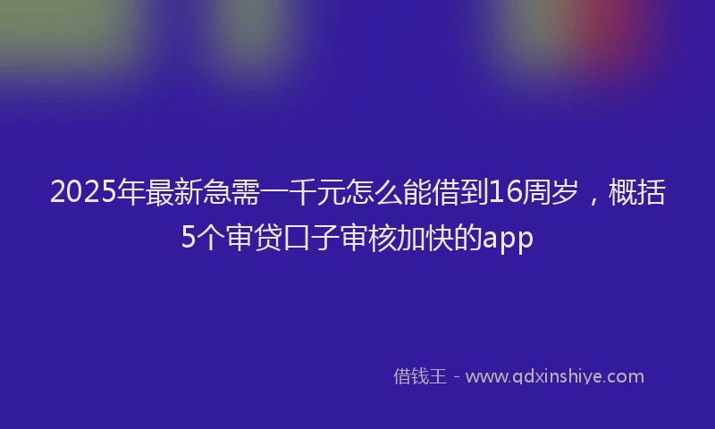 2025年最新急需一千元怎么能借到16周岁，概括5个审贷口子审核加快的app