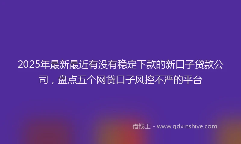 2025年最新最近有没有稳定下款的新口子贷款公司，盘点五个网贷口子风控不严的平台