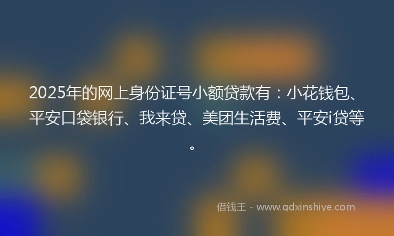 2025年的网上身份证号小额贷款有:小花钱包、平安口袋银行、我来贷、美团生活费、平安i贷等。