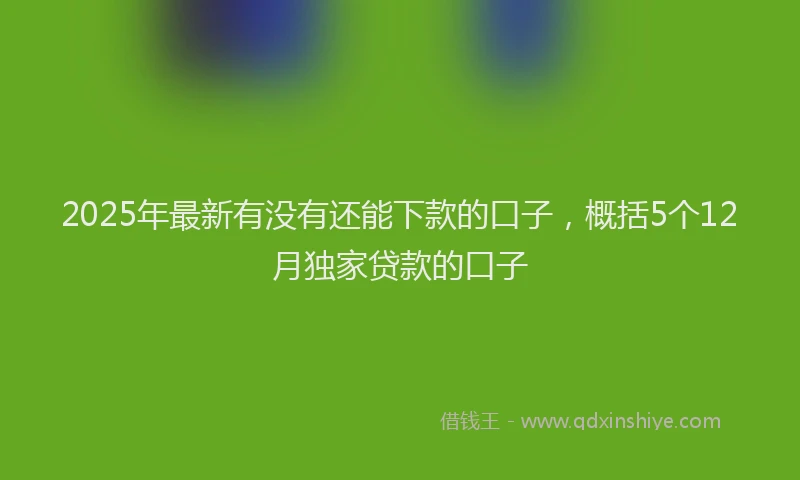 2025年最新有没有还能下款的口子，概括5个12月独家贷款的口子