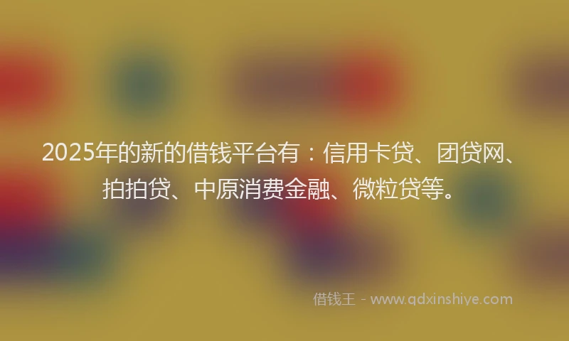 2025年的新的借钱平台有：信用卡贷、团贷网、拍拍贷、中原消费金融、微粒贷等。